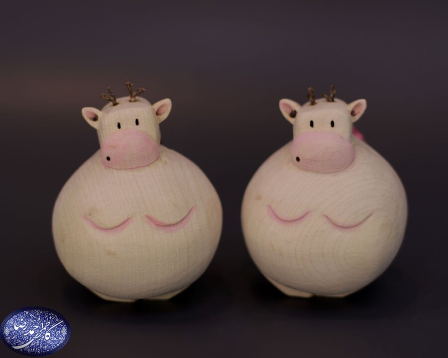 -5983542308878007254_121