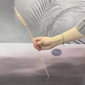 گل مسی گندم کاظمی